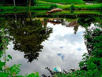 Foto vom Schlewecker Dorfteich